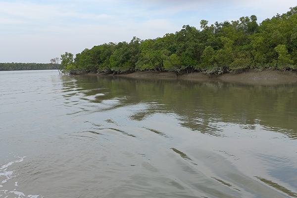 Family with children enjoying safe Sundarban boat safari tour